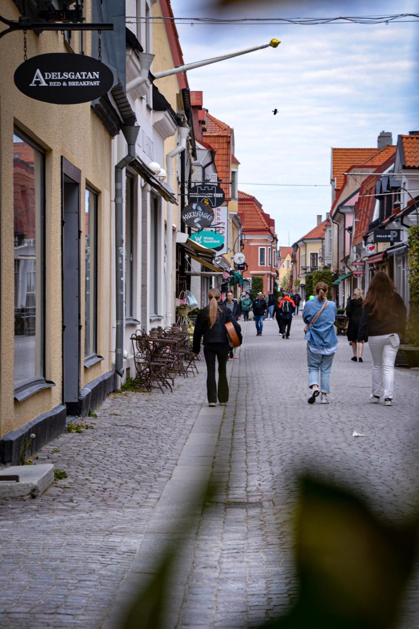 Adelsgatan Bed & Breakfast Visby Bagian luar foto